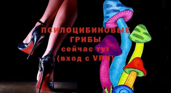 первитин Балахна