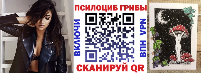 дарнет шоп  Тулун  KRAKEN   Псилоцибиновые грибы мухоморы 