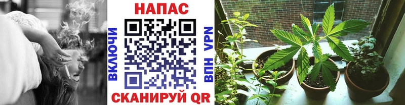 нарко площадка Telegram  Тулун  Бошки Шишки индика 